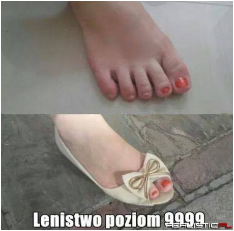 Lenistwo