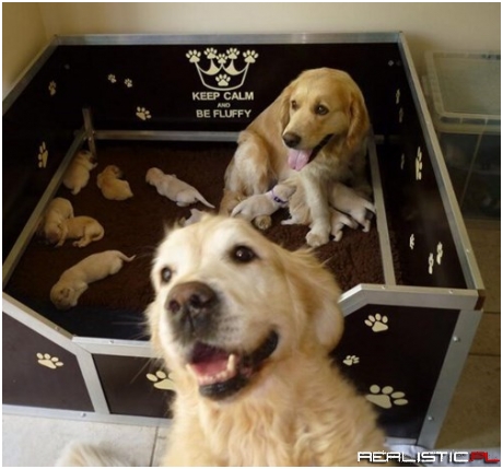 Look at What We Made!