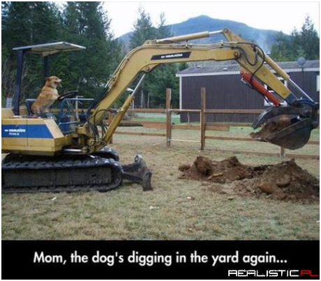 Mamo pieseł znowu kopie