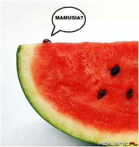 Mamusia