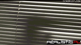 Maru Plays With The Blinds
