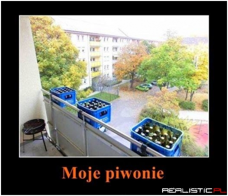 Moje piwonie