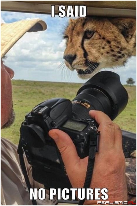 Mówiłem - żadnych zdjęć