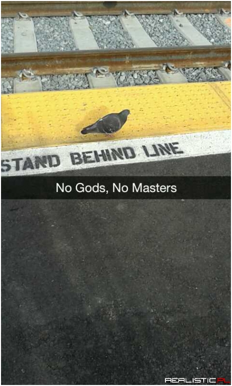 No Gods