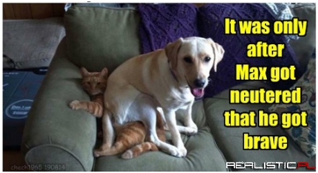 No Worries on the Danger Zone