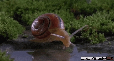 Nobody Likes Drinking From the Pond After Slimy has Been There