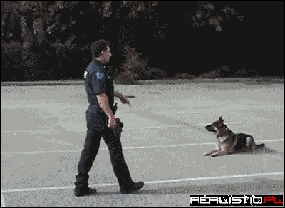 Oh Boy! We Gotta Call! Let's Roll!