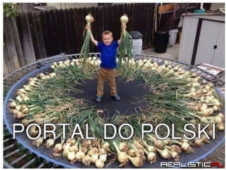 Portal do Polski