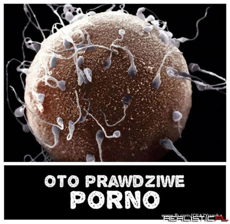 Prawdziwe porno