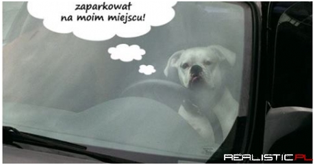 Problemy z parkowaniem