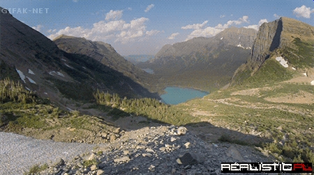 Quite the Wilderness Welcome!