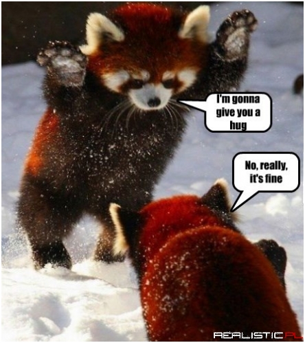 Red Panda Hug Brigade