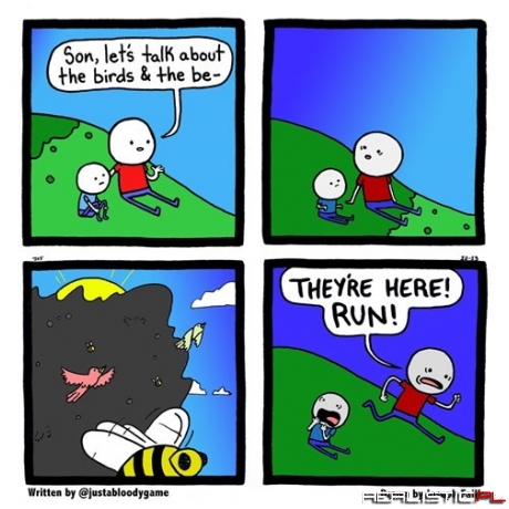 Remember to Talk About the Birds And Bees