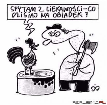 Spytam z ciekawości