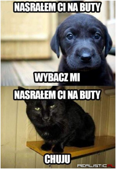 Subtelna różnica