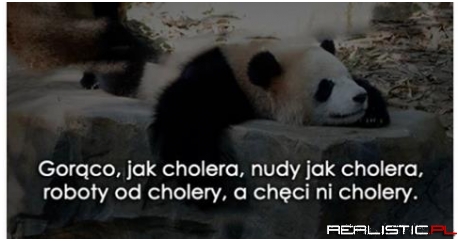 Tak bardzo prawdziwe