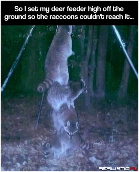 Teamwork Isn't Always a Good Thing