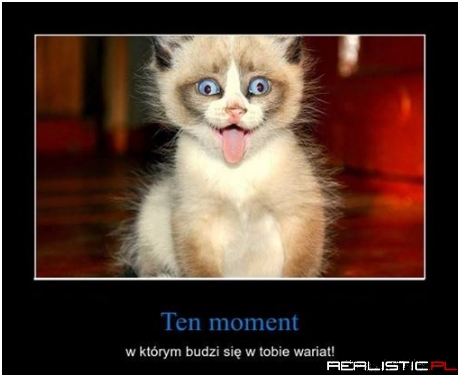 Ten moment