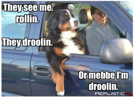 The Drool Had to Have Come From Somewhere!