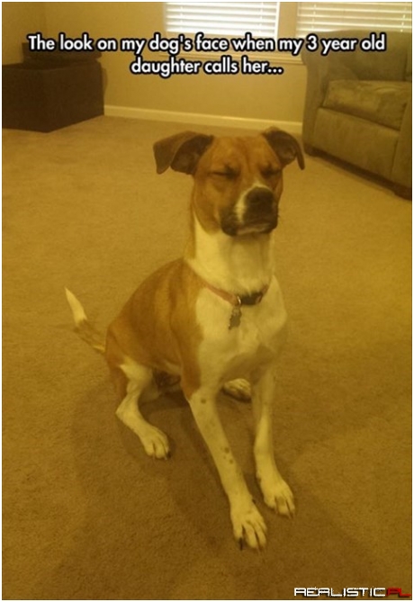 The Little One Needs Me Again...