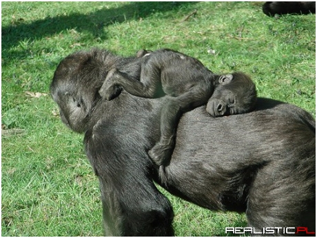 The Most Comfortable Spot in the World