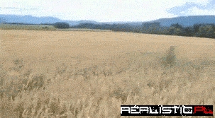 This is it.This is what true happiness looks like