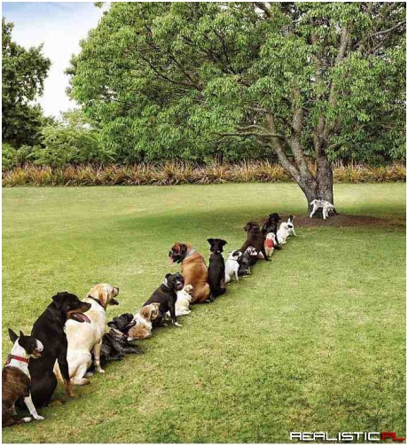 W kolejce do kibelka