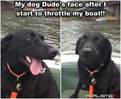 Wait a Second...This Thing Moves