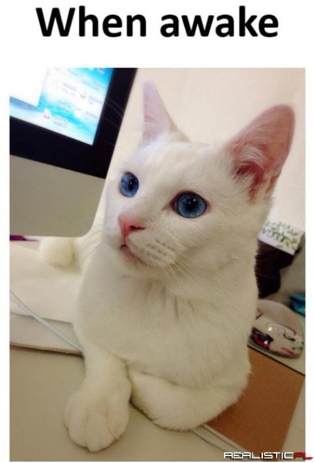 When awake