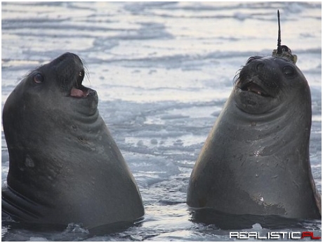 When u make a joke only u and ur friend get