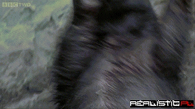 When You Get Into a Trance From Music