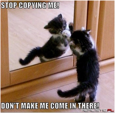 You're Asking for it!