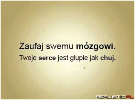 Zaufaj swojemu mózgowi