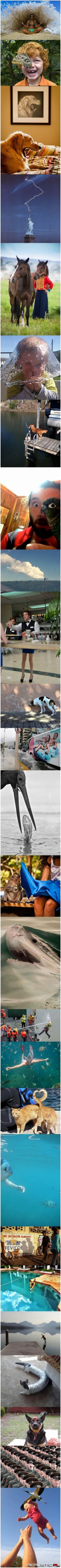 Zdjęcia zrobione w odpowiednim momencie