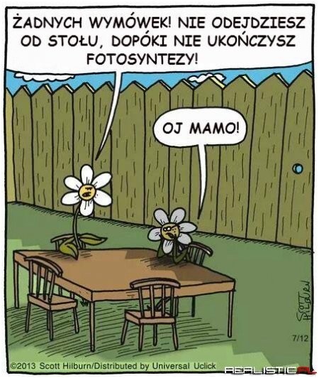 adnych wymówek