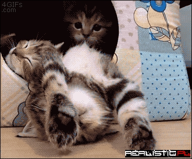 Adorable