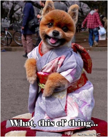 All Dressed Up With Nowhere to Go