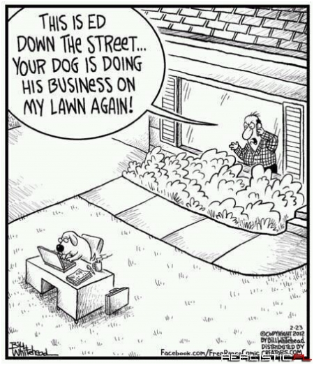 Another Call From the Neighbor