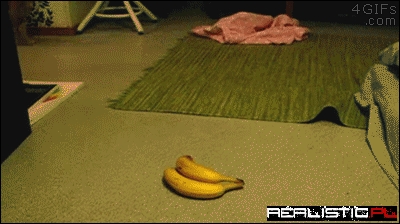 Bananas prank