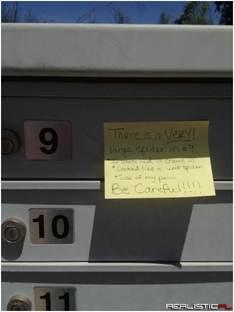 Being a Mailman Can Be Dangerous