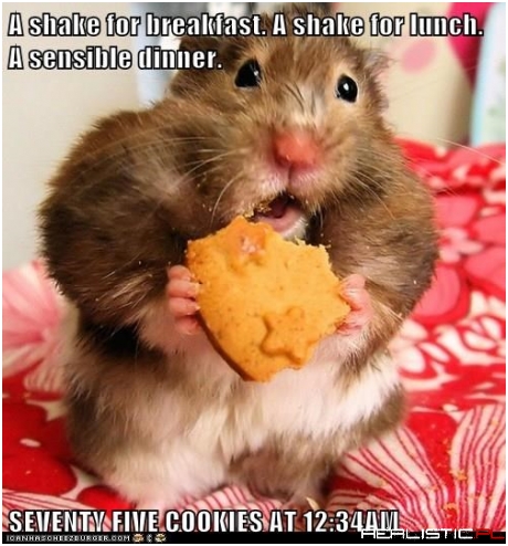 Better Hop On The Hamster Wheel