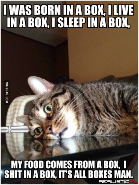 Born in a box
