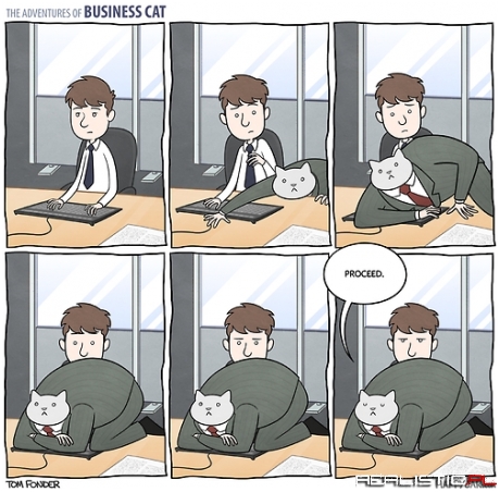 Business Cat's Micro Managing Skills