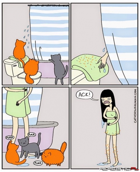 Cat Initiation