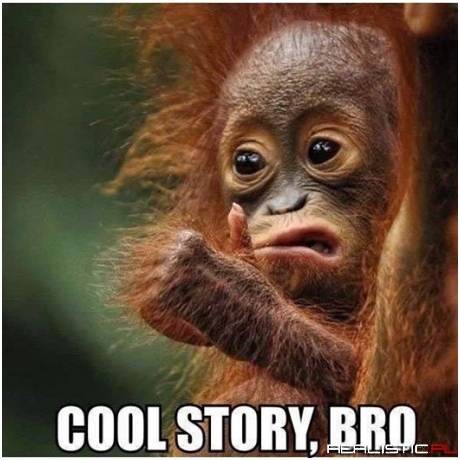 Cool story Bro