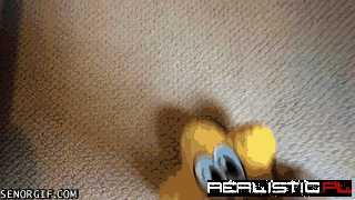 Corgi Searches for a Star