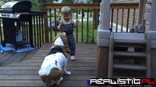 Dancing With the Dog