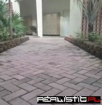 D'aww, What a Cute Couple!