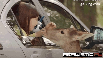 Deer Meets Cute Technology