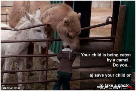 Definitely a photo - likes are worth more than some child